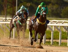 09.07 Corridas &raquo; 09.07 Corridas &raquo; Corridas 21.08